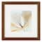 8 Pack: Walnut & Gold Trim Frame with Mat, Gallery by Studio Décor®